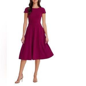Dress The Population NWT Livia Berry Red Fit and Flare Cocktail Dress Size L